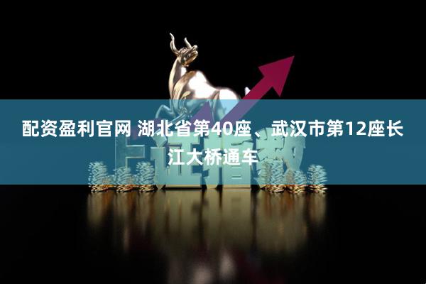 配资盈利官网 湖北省第40座、武汉市第12座长江大桥通车