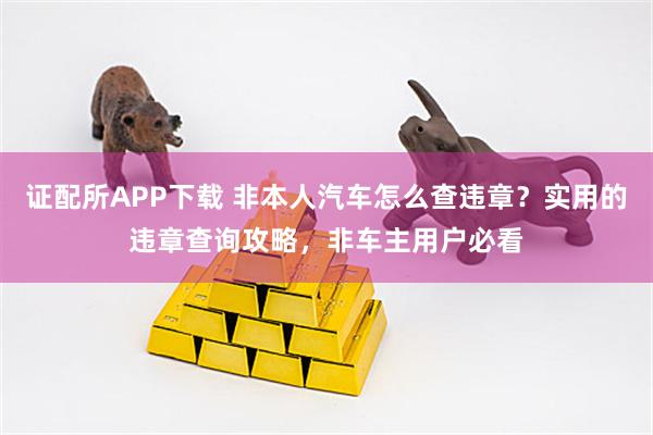 证配所APP下载 非本人汽车怎么查违章？实用的违章查询攻略，非车主用户必看