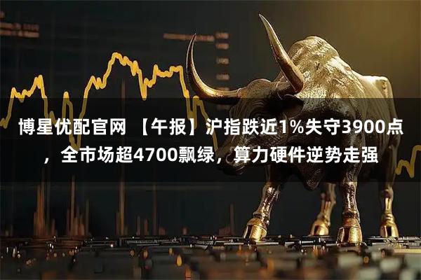博星优配官网 【午报】沪指跌近1%失守3900点，全市场超4700飘绿，算力硬件逆势走强